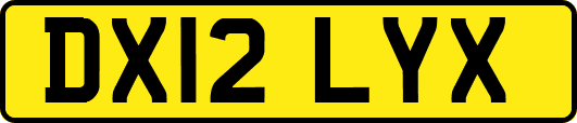 DX12LYX