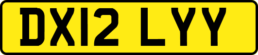 DX12LYY