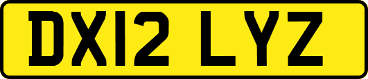 DX12LYZ
