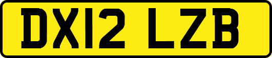 DX12LZB