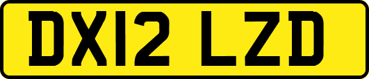 DX12LZD