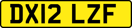 DX12LZF
