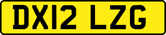 DX12LZG