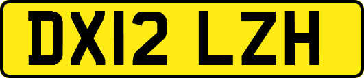 DX12LZH