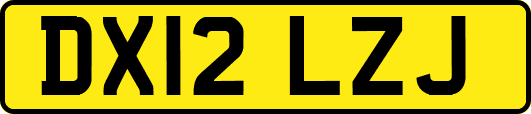 DX12LZJ