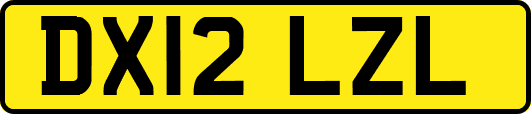DX12LZL