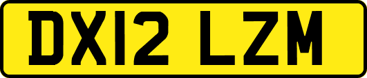 DX12LZM