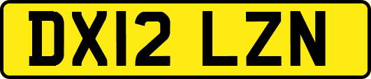 DX12LZN