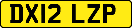 DX12LZP