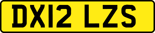 DX12LZS