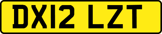 DX12LZT
