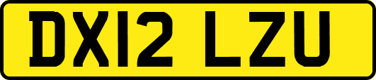 DX12LZU