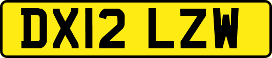 DX12LZW