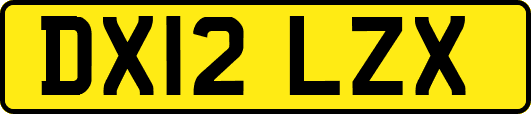 DX12LZX