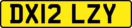 DX12LZY
