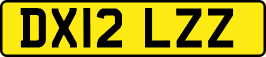 DX12LZZ