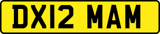 DX12MAM