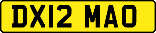 DX12MAO