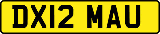 DX12MAU
