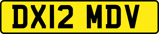 DX12MDV