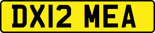 DX12MEA