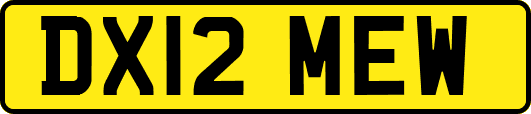 DX12MEW