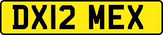 DX12MEX