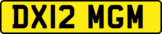 DX12MGM