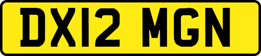 DX12MGN
