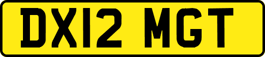 DX12MGT