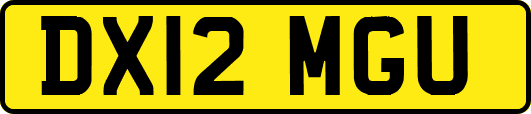 DX12MGU