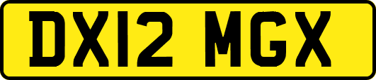 DX12MGX