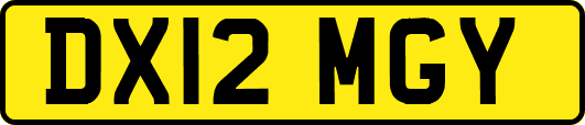 DX12MGY