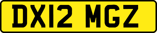 DX12MGZ