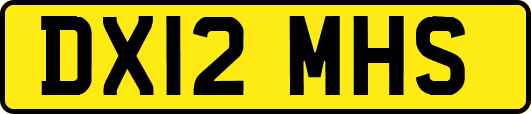 DX12MHS
