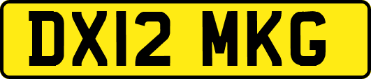 DX12MKG