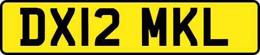 DX12MKL