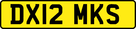 DX12MKS