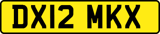DX12MKX