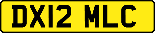DX12MLC