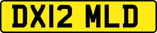 DX12MLD