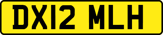 DX12MLH