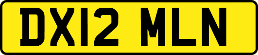 DX12MLN
