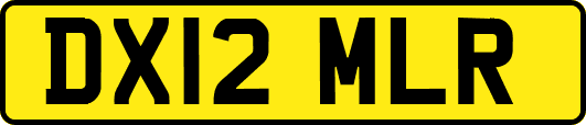DX12MLR