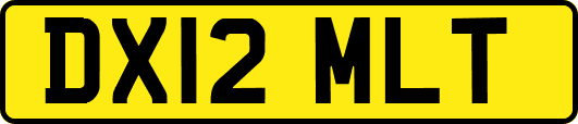 DX12MLT