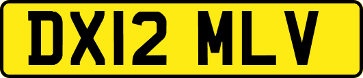 DX12MLV