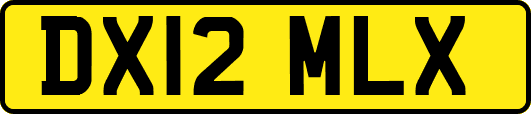 DX12MLX