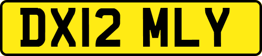 DX12MLY