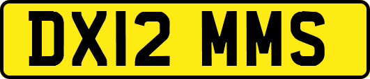 DX12MMS
