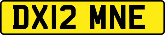 DX12MNE